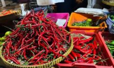 Harga Pangan Nasional: Cabai Rawit Rp52.750, Telur Ayam Rp22.650 per Kg