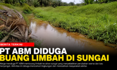 Diduga Ada Pencemaran Sungai di Desa Tanjung Mulia, Warga Keluhkan Perubahan Air