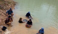 Jika Tambang Ditindak Tanpa Solusi, Warga Pulo Padang Siap Gelar Aksi Demonstrasi